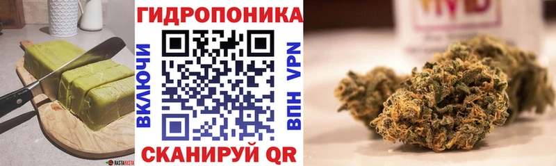 купить   Кизел  Canna-Cookies марихуана 