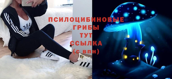 МДПВ Болотное