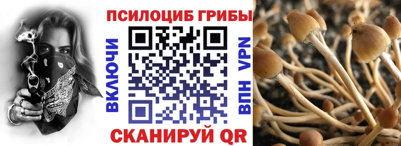 сколько стоит  Кизел  Псилоцибиновые грибы GOLDEN TEACHER 